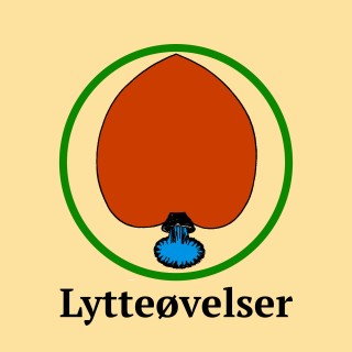 Knut Dannevig - Skolenes indre liv, demokratiske nyanser og åndslivskvaliteter